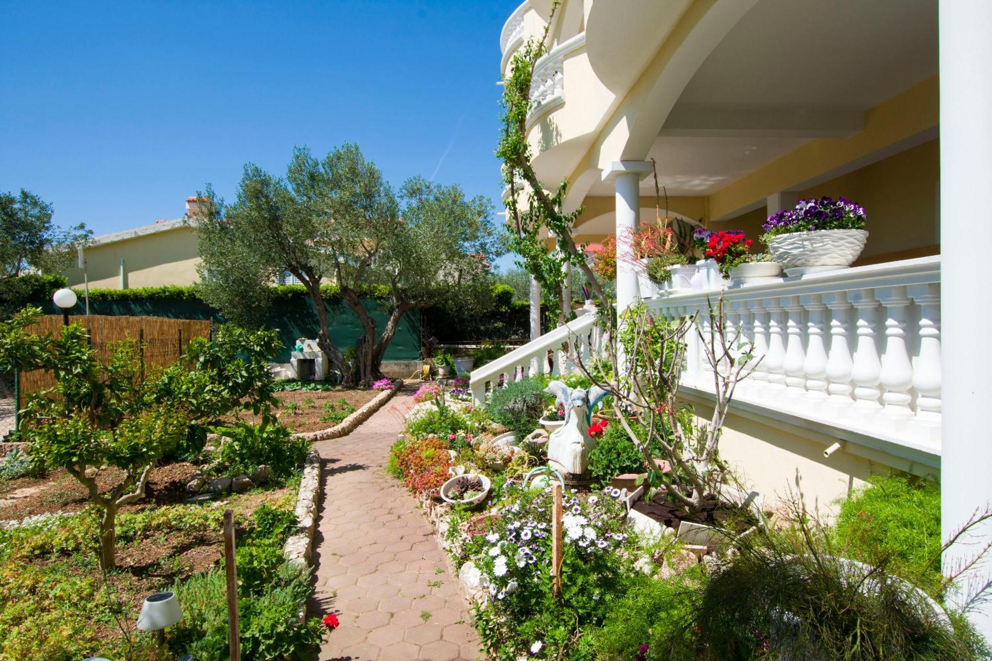 Apartments Dandelion Biograd Na Moru Extérieur photo